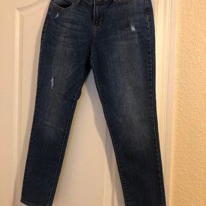 Mid-Rise Curvey Jeans